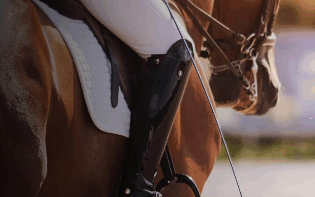 BAILEYS HORSE FEEDS FLEXI EVENTING –  DRESSAGE TIMES FOR 14 FEBRUARY 2026