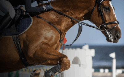 St Patricks Schools – Tuesday 17th March