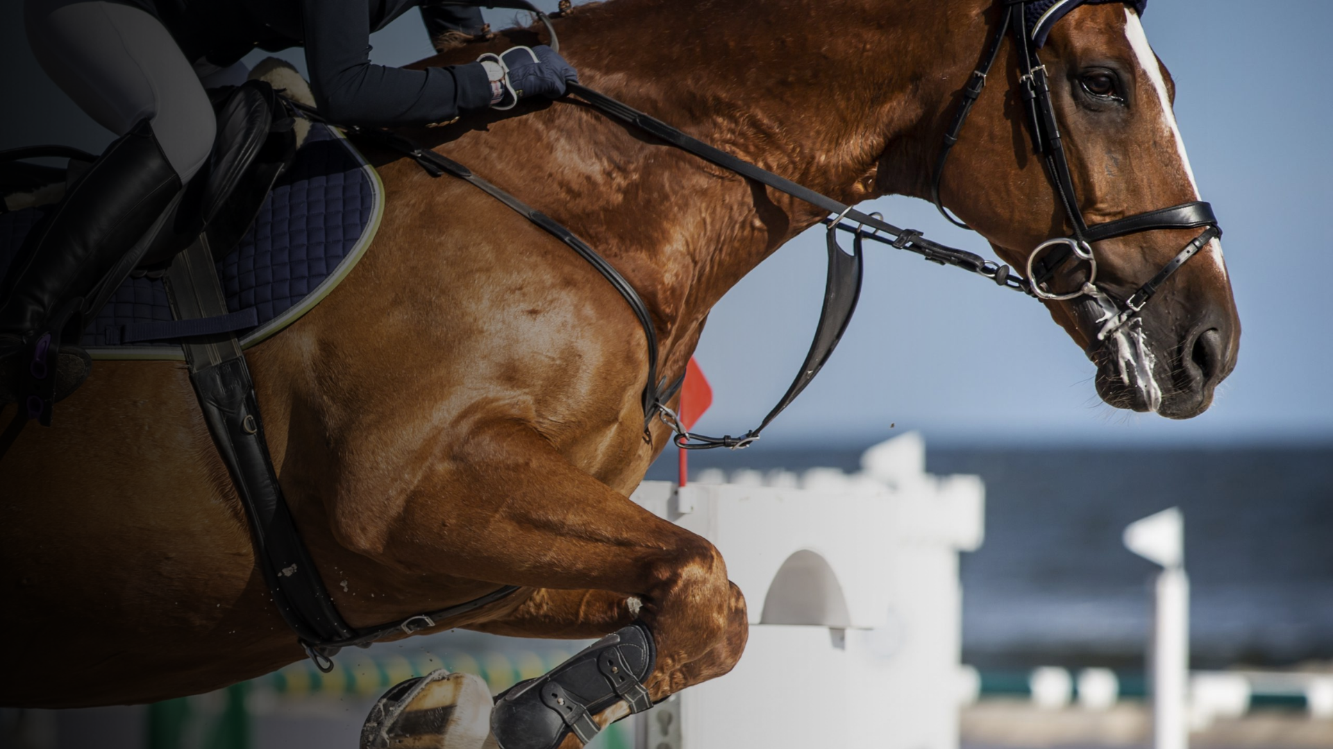 St Patricks Schools – Tuesday 17th March