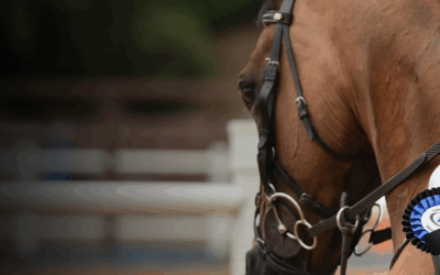 BAILEYS HORSE FEEDS FLEXI EVENTING – DRESSAGE TIMES FOR 21 FEBRUARY 2026
