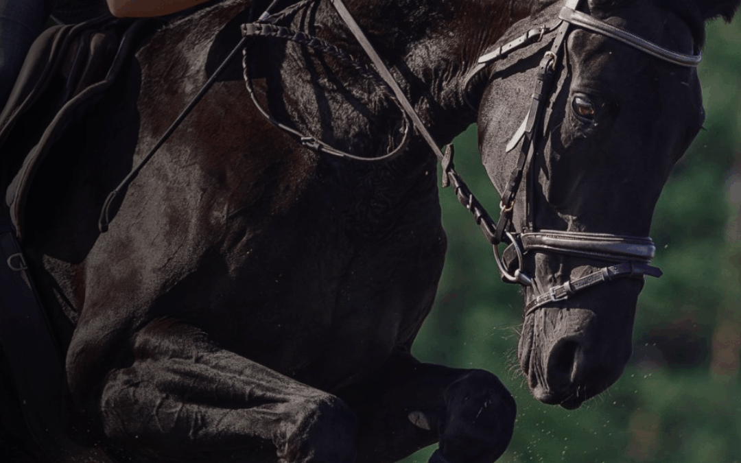 2026 Flexi – Eventing – Week 4 – Cross Country List